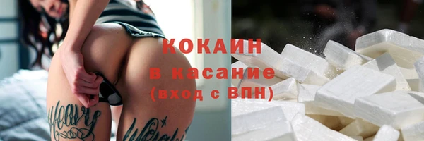 гашик Алексеевка