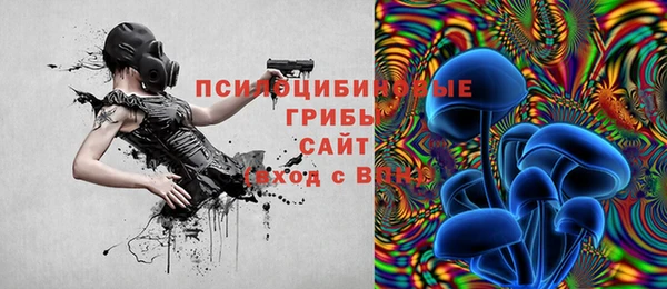 тгк Алексин