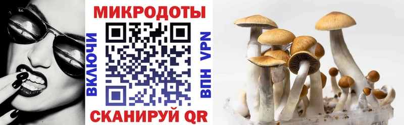 MEGA ONION Воткинск Галлюциногенные грибы Psilocybe это состав закладки