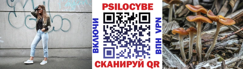 Псилоцибиновые грибы MAGIC MUSHROOMS Воткинск